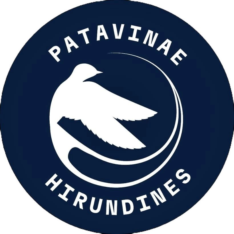 Logo Patavinae Hirundines